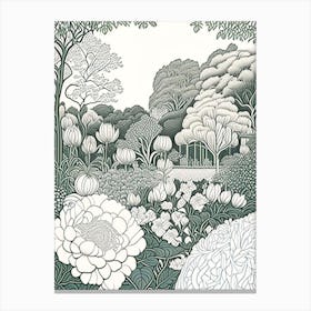 Parks And Public Gardens With Peonies 2 Drawing Canvas Print