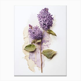 Pressed Flower Botanical Art Lilac 2 Canvas Print