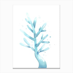 Water Tree Canvas Print