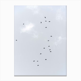 Birds Flying South Canvas Print