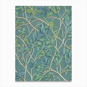 Eucalyptus tree Vintage Botanical Canvas Print