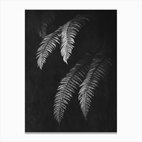 Fern Forest Leaves Black and White Canvas Print