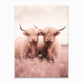Two Highland Cows Pink Portrait 4 Canvas Print