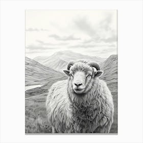 Black & White Illustration Of Highland Sheep With The Valley In The Distance 3 Canvas Print