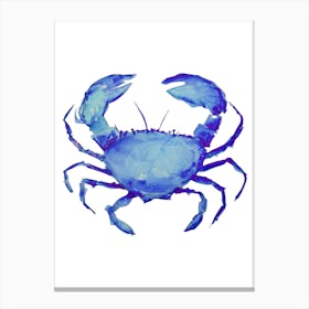 Blue Crab 1 Leinwandbild