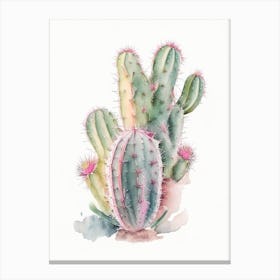 Fishhook Cactus Pastel Watercolour Canvas Print
