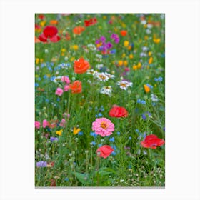 Field of Wild Flowers 1 Canvas Print