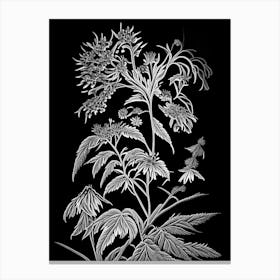 Black Snakeroot Wildflower Linocut 1 Canvas Print