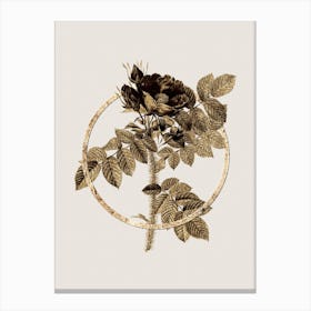 Gold Ring Kamtschatka Rose Glitter Botanical Illustration n.0243 Canvas Print