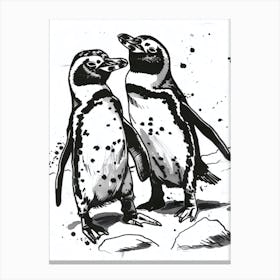 African Penguin Squabbling Over Territory 4 Canvas Print