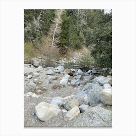 Boulders In A Stream Canvas Print