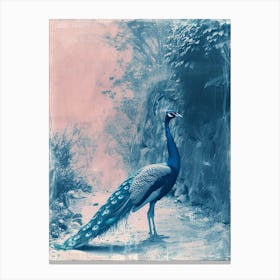 Peacock In The Wild Blue Cyanotype 3 Canvas Print