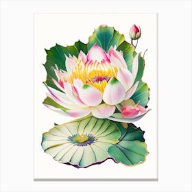 Lotus Flower In Garden Decoupage 2 Canvas Print
