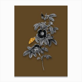 Vintage Single May Rose Black and White Gold Leaf Floral Art on Coffee Brown n.0716 Canvas Print