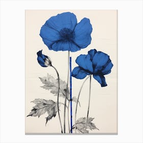 Blue Botanical Poppy 1 Canvas Print