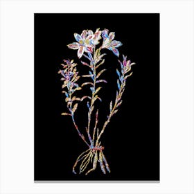 Stained Glass Lily of the Incas Mosaic Botanical Illustration on Black n.0345 Canvas Print