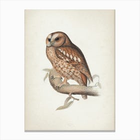 Vintage Lear 2 Wood Owl Canvas Print