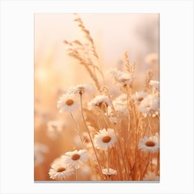 Boho Dried Flowers Oxeye Daisy 3 Canvas Print