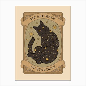 Made Of Stardust Canvas Print