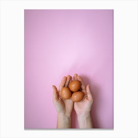 Eggs On A Pink Background Canvas Print