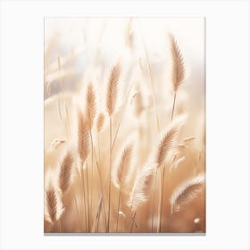 Boho Dried Flowers Fountain Grass 2 Canvas Print