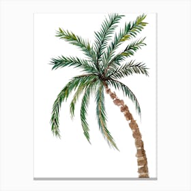 Palm Tree 1 Canvas Print