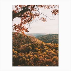 Autumn Forest Scenery Canvas Print