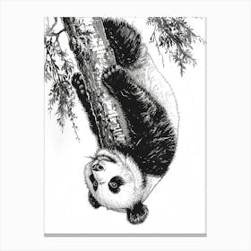 Giant Panda Cub Hanging Upside Down From A Tree Ink Illustration 2 Canvas Print
