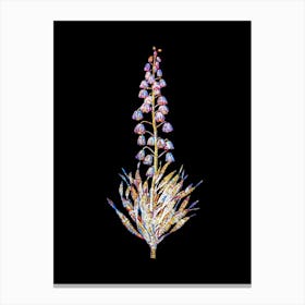 Stained Glass Persian Lily Mosaic Botanical Illustration on Black n.0147 Canvas Print