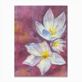 Img 5884 White crocuses, watercolor Canvas Print