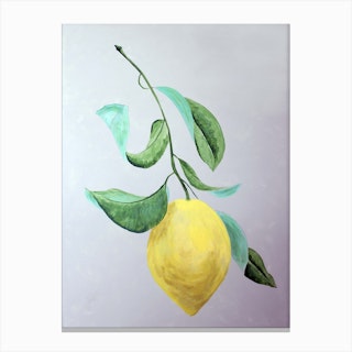 Lemons Have Wings Canvas Print