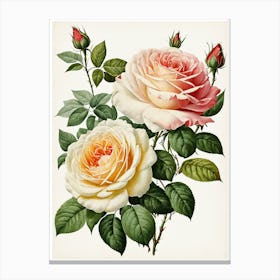 Vintage Galleria Style Rose Art Painting 32 Canvas Print