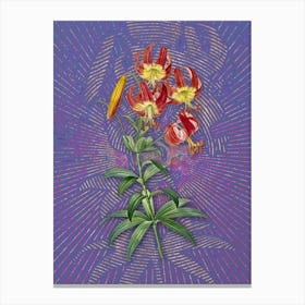 Vintage Turban Lily Botanical Illustration on Veri Peri Canvas Print