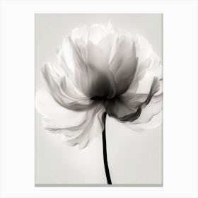 Black And White Flower 2 Canvas Print