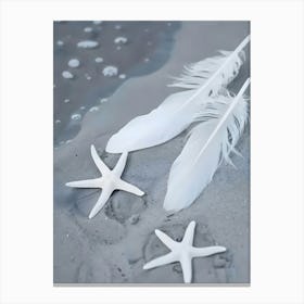 Starfish And Feathers Canvas Print