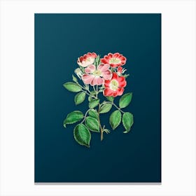 Vintage Rose Clare Flower Botanical Art on Teal Blue n.0862 Canvas Print