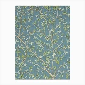 Common Hackberry 2 tree Vintage Botanical Canvas Print