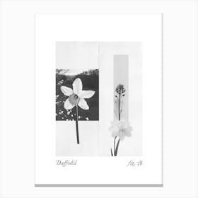 Daffodil Botanical Collage 6 Canvas Print