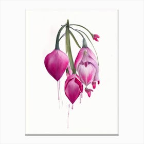 Bleeding Heart Wildflower Watercolour Canvas Print