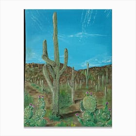 Cactus Plaza Canvas Print