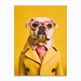 A Bulldog Dog 2 Canvas Print