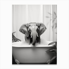 Elephant In The Bath 1 Canvas Print