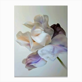 Modern Tulip flower Canvas Print