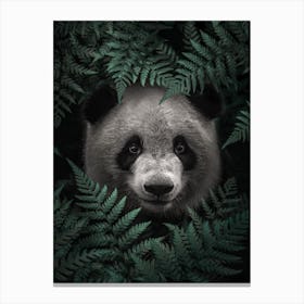 Panda Bear In The Forest Canvas Print