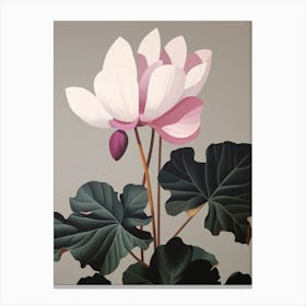 Flower Illustration Cyclamen 3 Canvas Print