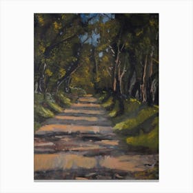 Road In The Woods Canvas Print