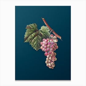 Vintage Grape Vine Botanical Art on Teal Blue n.0203 Canvas Print