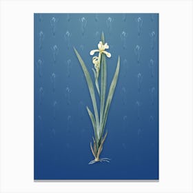 Vintage Yellow Banded Iris Botanical on Bahama Blue Pattern Canvas Print