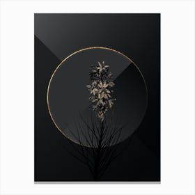Shadowy Vintage Yellow Asphodel Botanical in Black and Gold n.0057 Canvas Print
