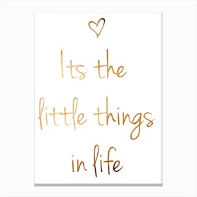 Little Things II Canvas Print